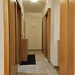 Rent 1 bedroom apartment of 52 m² in Brno