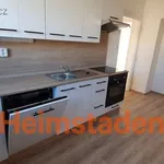 Rent 4 bedroom apartment of 70 m² in Trhový Štěpánov