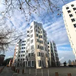 Rent 2 bedroom apartment of 78 m² in Dusseldorf