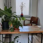 Rent 2 bedroom house in Gent