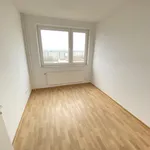 Miete 3 Schlafzimmer wohnung von 71 m² in Laatzen