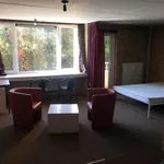 Rent 1 bedroom apartment in Leuven