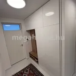 Rent 1 bedroom apartment of 64 m² in Budapest