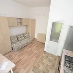 Rent 1 bedroom apartment of 20 m² in Timișoara