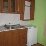 Rent 1 bedroom apartment of 45 m² in Postřelmov