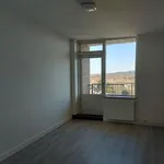 Rent 4 bedroom apartment in Vrieheidepark