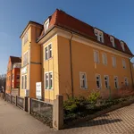 Rent 2 bedroom apartment of 47 m² in Dresden