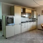 Rent 2 bedroom apartment of 60 m² in Bergamo