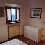 Rent 1 bedroom apartment of 45 m² in Montevarchi