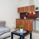 Rent 1 bedroom apartment of 20 m² in Hranice