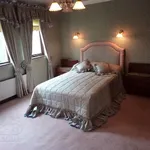 Rent 4 bedroom house in Hillsborough