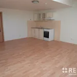 Rent 2 bedroom apartment of 50 m² in Brno