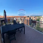 Rent 2 bedroom apartment of 50 m² in Roma