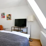 Rent 1 bedroom apartment of 23 m² in Cologne