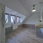 Rent 4 bedroom apartment of 164 m² in Miřetice