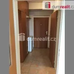 Rent 2 bedroom apartment of 45 m² in Praha