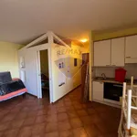 Rent 2 bedroom apartment of 40 m² in Nettuno