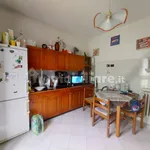 Rent 4 bedroom apartment of 90 m² in Bologna