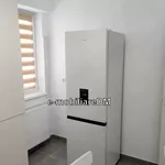 Rent 1 bedroom apartment in Dacia