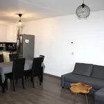 Rent 4 bedroom house of 90 m² in Groot Rennemig