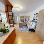 Rent 2 bedroom apartment of 51 m² in Znojmo