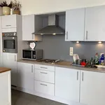 Rent 1 bedroom apartment in Gent