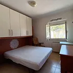 Rent 3 bedroom apartment of 60 m² in Fiumicino