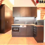 Rent 2 bedroom apartment of 63 m² in Brno