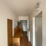 Rent 1 bedroom apartment in Olomouc