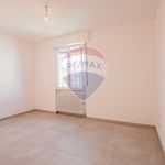 Porzione di casa in Affitto Viadana 33631032-78 | RE/MAX Italia