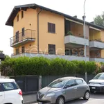 Rent 1 bedroom apartment of 35 m² in Monza