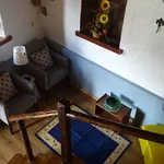 Rent 1 bedroom apartment of 40 m² in Salir de Matos