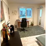 Rent 2 bedroom apartment in Zurich