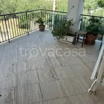 Rent 4 bedroom apartment of 130 m² in San Pier Niceto