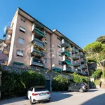 Rent 3 bedroom apartment of 96 m² in Genoa