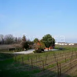 Rent 11 bedroom house of 300 m² in Ponte di Piave