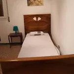 Rent 3 bedroom apartment of 80 m² in Bologna