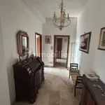 Rent 5 bedroom apartment of 120 m² in Bologna