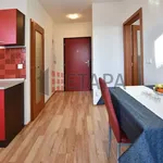 Rent 1 bedroom apartment of 38 m² in České Budějovice