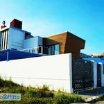 Villa arredata con terrazzo Manfredonia