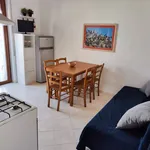 Rent 1 bedroom apartment of 45 m² in Pisa