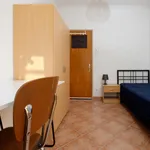 Rent 3 bedroom house in Coimbra