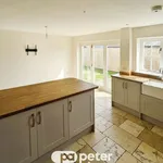 Rent 4 bedroom flat in Newport