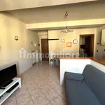 Rent 2 bedroom apartment of 56 m² in Cremona