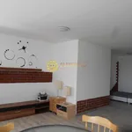 Rent 1 bedroom apartment of 35 m² in Hradec Králové