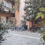 Rent 1 bedroom apartment of 50 m² in milan