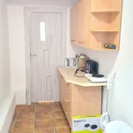 Rent 4 bedroom apartment of 170 m² in krakow