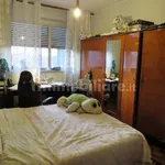 Rent 4 bedroom apartment of 100 m² in Bologna