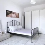 Rent 1 bedroom apartment in Bologna