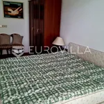 Rent 1 bedroom apartment of 70 m² in Zagreb